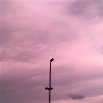 乐鱼appapp下载截图