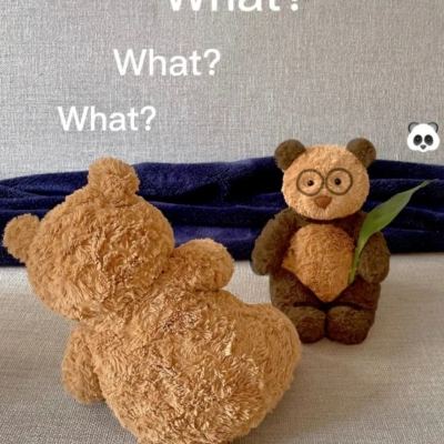 bob综合在线体育