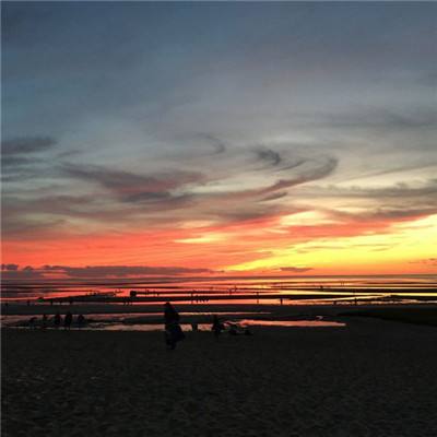 乐乐捕鱼官方网站