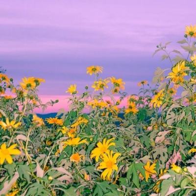 kok中欧登录入口