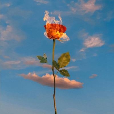 美高梅网址app下载