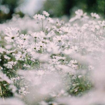 皇冠体育app正版下载截图