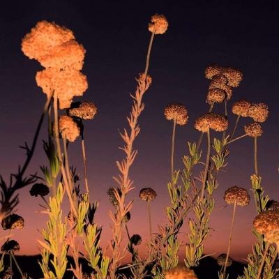 大众彩票入口welcome·官方网站