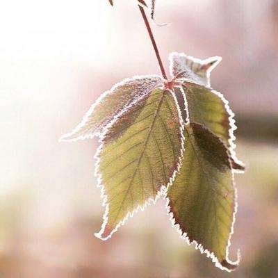 半岛综合体育APP