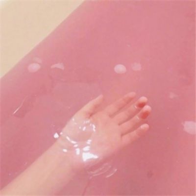 2023澳门资料大全正版app下载